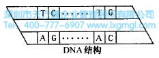 什么是六西格瑪創(chuàng)新設計的原動力