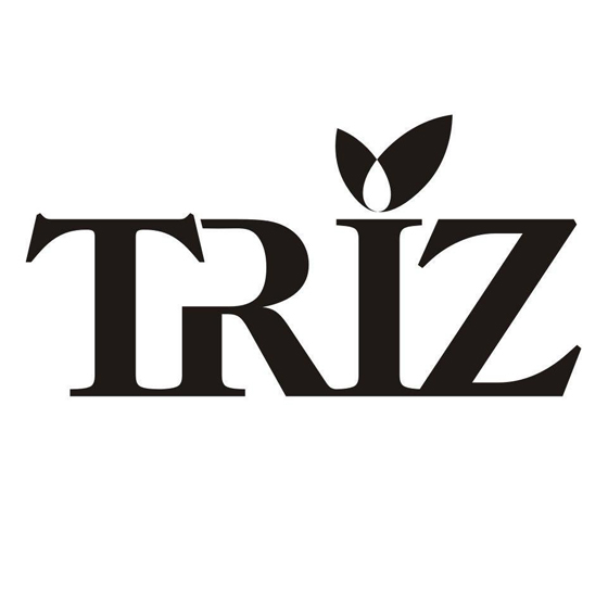 如何從TRIZ的初學(xué)者，成為解決問題的高手