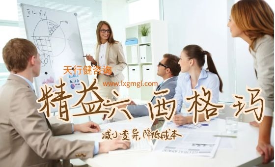公共部門中運用精益六西格瑪?shù)牟襟E！