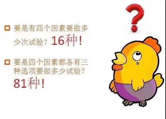 基于DOE試驗設計科學養(yǎng)雞