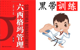 六西格瑪黑帶培訓(xùn)課程總表